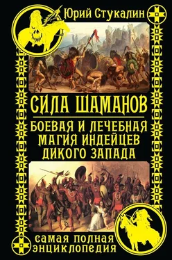 Юрий Стукалин Сила шаманов. Боевая и лечебная магия индейцев Дикого Запада обложка книги