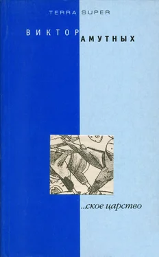 Виталий Амутных ...ское царство обложка книги