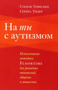 Стенли Гринспен На ты с аутизмом обложка книги