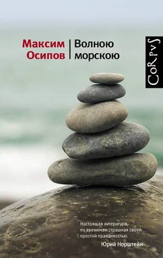 Максим Осипов Волною морскою (сборник) обложка книги