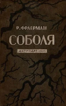 Рувим Фраерман Соболя обложка книги