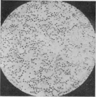 Рис 7Фотография взвешенных частиц в прибрежных водах Тихого океана Рис - фото 11