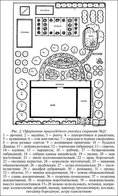 Рис 2 Оформление приусадебного участка вариант 2 1 арония 2 - фото 2