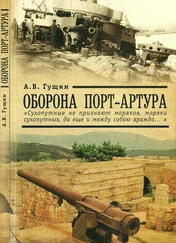 Андрей Гущин - Оборона Порт-Артура - «Сухопутные не признают моряков, моряки сухопутных, да еще и между собою вражда…»