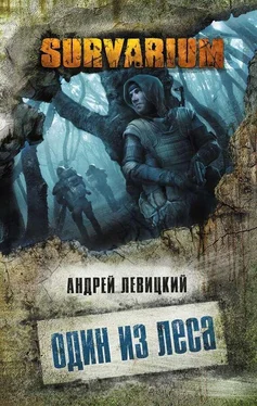 Андрей Левицкий Один из леса обложка книги