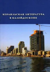 Бат-Шева Краус - Израильская литература в калейдоскопе. Книга 1