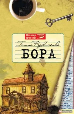 Галина Вдовиченко Бора обложка книги