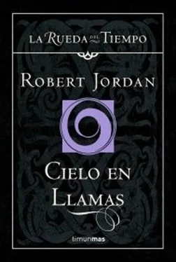 Robert Jordan Cielo en llamas обложка книги