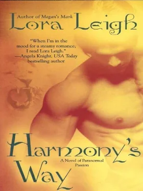 Lora Leigh Harmony's Way обложка книги