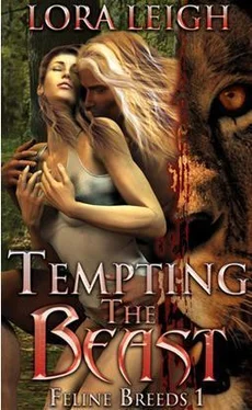 Lora Leigh Tempting the Beast обложка книги