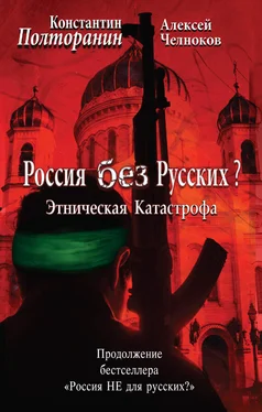 Константин Полторанин Этническая катастрофа. Россия без русских? обложка книги