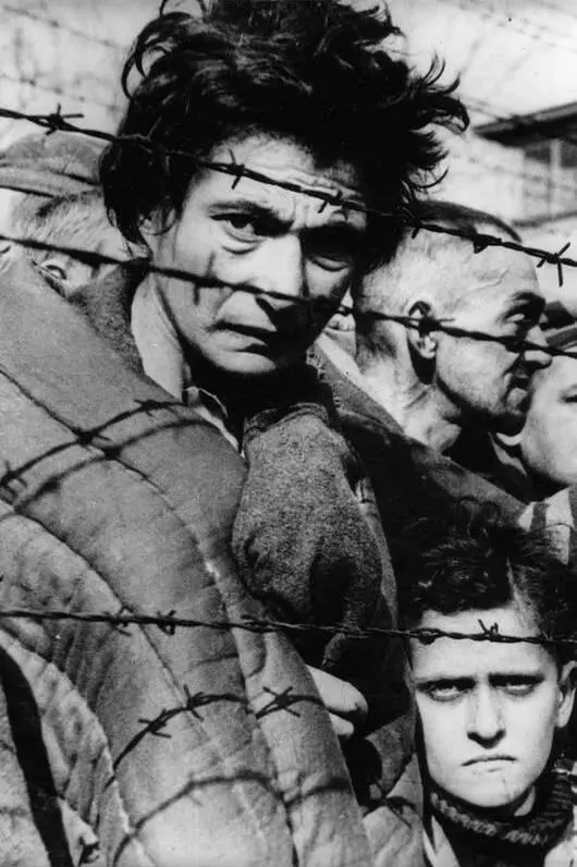Неизвестный мужчина и мальчик смотрят изза колючей проволоки в Освенциме - фото 6