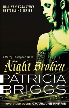 Patricia Briggs Night Broken обложка книги