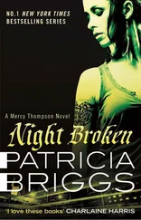 Patricia Briggs - Night Broken
