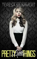 Teresa Mummert - Pretty Little Things