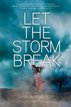 Shannon Messenger Let the Storm Break обложка книги