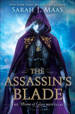 Sarah Maas The Assassin's Blade обложка книги