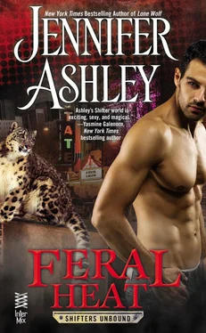 Jennifer Ashley Feral Heat обложка книги