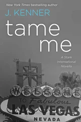 Julie Kenner - Tame Me