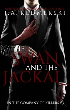 J. Redmerski The Swan and the Jackal обложка книги