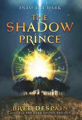 Bree Despain - The Shadow Prince