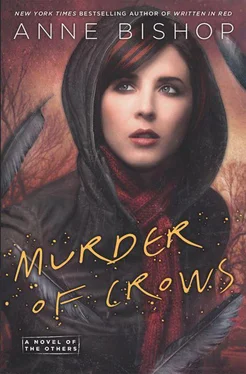 Anne Bishop Murder of Crows обложка книги