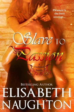 Elisabeth Naughton Slave to Passion обложка книги