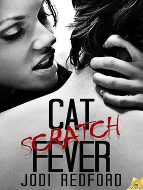 Jodi Redford Cat Scratch Fever обложка книги