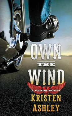 Kristen Ashley Own the Wind обложка книги