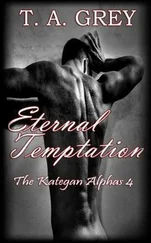 T. Grey - Eternal Temptation