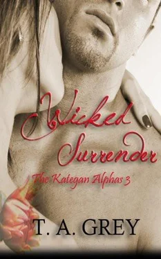 T. Grey Wicked Surrender обложка книги