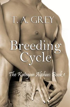 T. Grey Breeding Cycle обложка книги