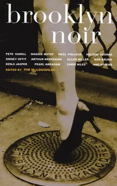 Pete Hamill Brooklyn Noir обложка книги