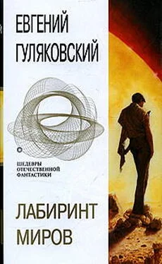 Евгений Гуляковский Лабиринт миров обложка книги