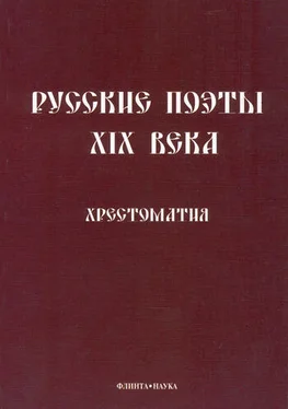 Леонид Кременцов Русские поэты XIX века: Хрестоматия