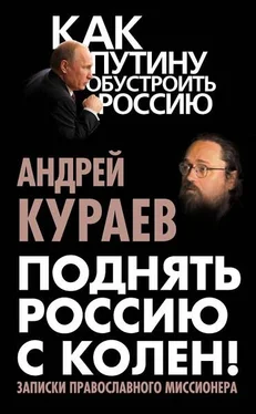 Андрей Кураев Поднять Россию с колен! Записки православного миссионера обложка книги