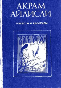 Акрам Айлисли Повести и рассказы обложка книги