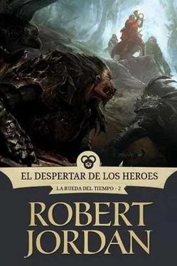 Robert Jordan El despertar de los héroes обложка книги