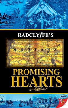 Radclyffe Promising Hearts обложка книги