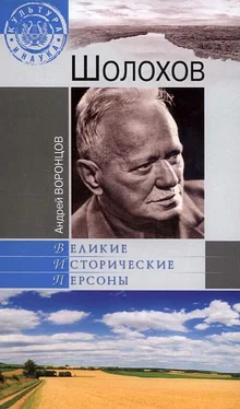 Андрей Воронцов Шолохов обложка книги