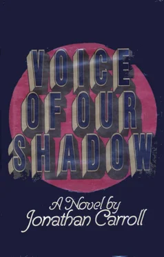 Jonathan Carroll Voice of our Shadow обложка книги