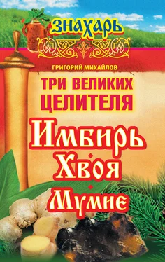 Григорий Михайлов Три великих целителя: имбирь, хвоя, мумие обложка книги