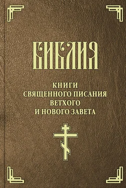 Священное Писание Библия. Синодальный перевод обложка книги