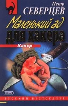 Петр Северцев Маленький ад для хакера обложка книги