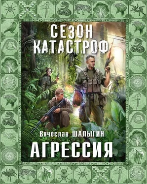 Вячеслав Шалыгин Агрессия обложка книги