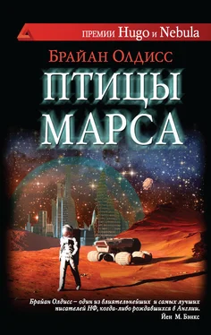 Брайан Олдисс Птицы Марса обложка книги