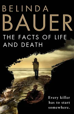 Belinda Bauer The Facts of Life and Death обложка книги