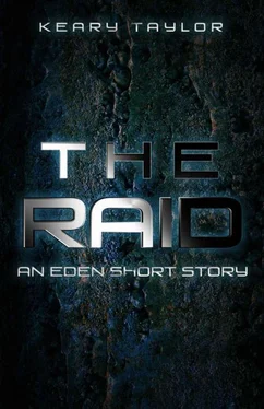 Keary Taylor The Raid обложка книги