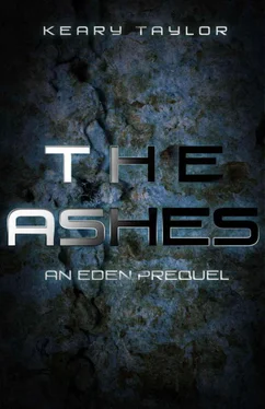 Keary Taylor The Ashes обложка книги