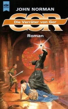 John Norman Die Verräter von Gor обложка книги